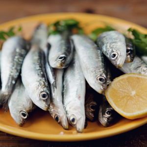 Sardine fish