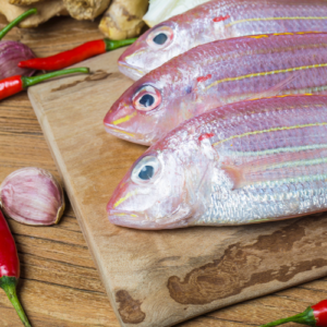 salmon -