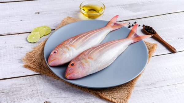 sankara fish