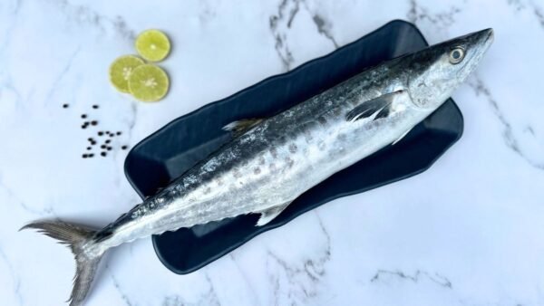 King fish