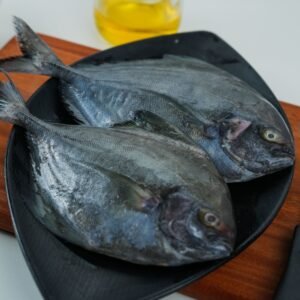 Black pomfret