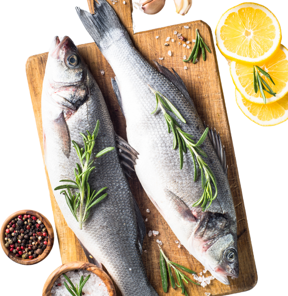 Seabass