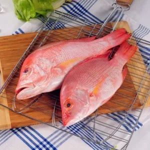 Red snapper