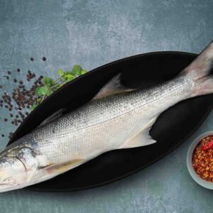 Salmon